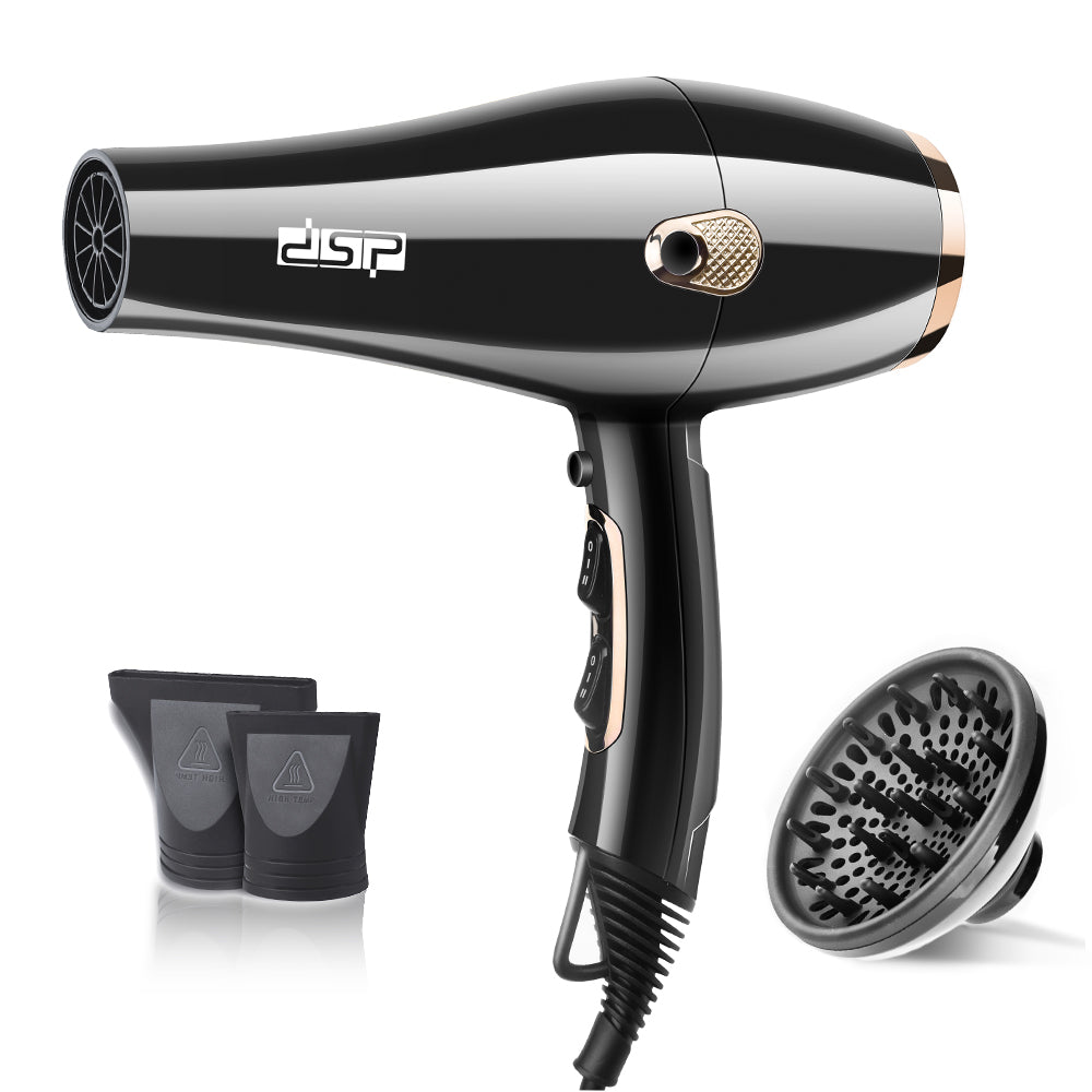 DSP Hot Seller 1600W Hair Dryer AC5413 Copper Motor 2 Speed Temp Cold Air 17000RPM 360° Cord Hook for Gentle Styling Home & Salon