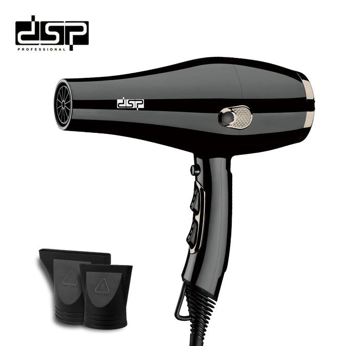 DSP Hot Seller 1600W Hair Dryer AC5413 Copper Motor 2 Speed Temp Cold Air 17000RPM 360° Cord Hook for Gentle Styling Home & Salon