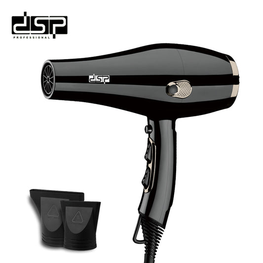 DSP Hot Seller 1600W Hair Dryer AC5413 Copper Motor 2 Speed Temp Cold Air 17000RPM 360° Cord Hook for Gentle Styling Home & Salon