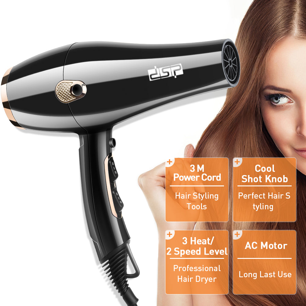 DSP Hot Seller 1600W Hair Dryer AC5413 Copper Motor 2 Speed Temp Cold Air 17000RPM 360° Cord Hook for Gentle Styling Home & Salon