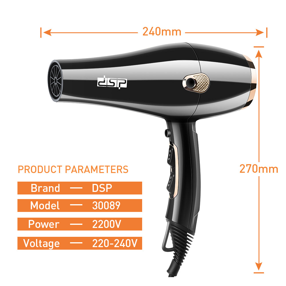 DSP Hot Seller 1600W Hair Dryer AC5413 Copper Motor 2 Speed Temp Cold Air 17000RPM 360° Cord Hook for Gentle Styling Home & Salon